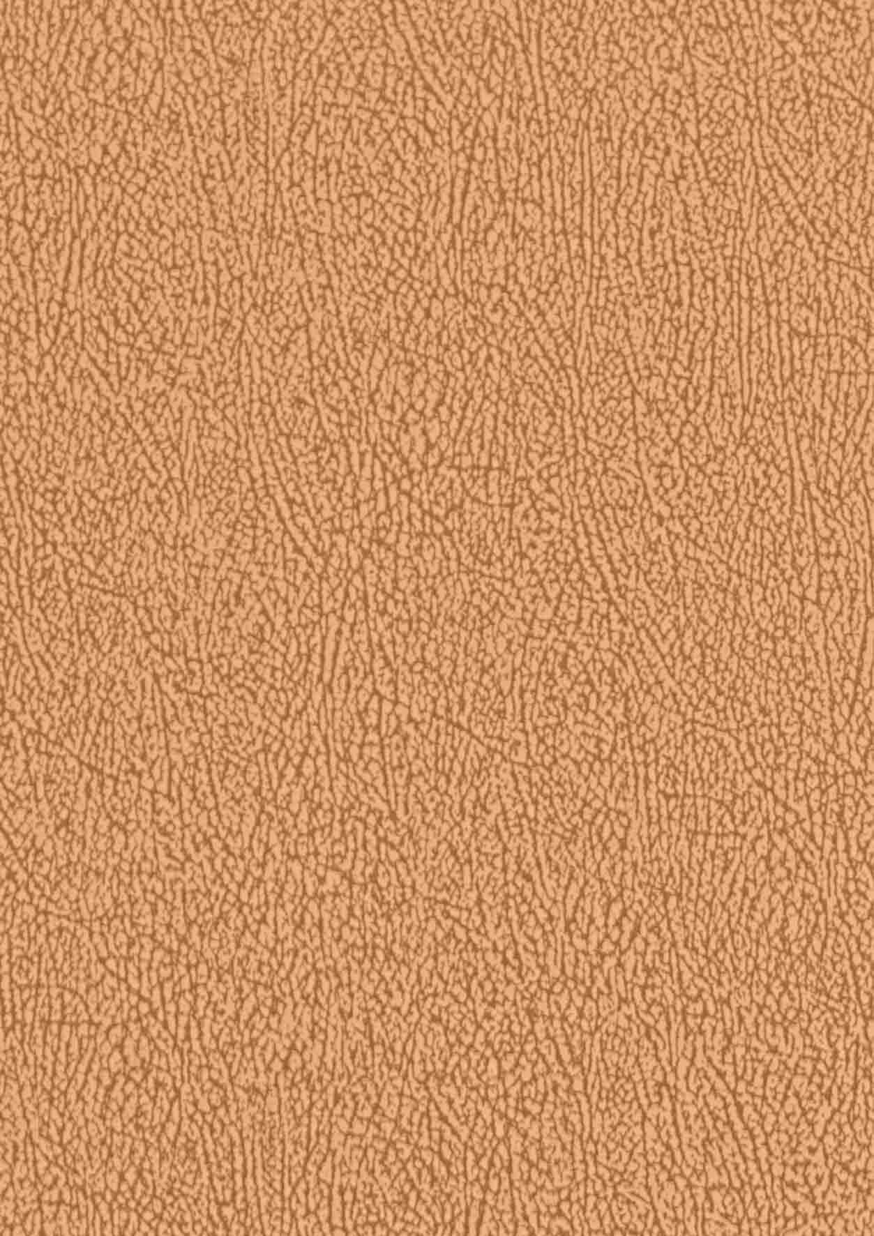 Color 1
