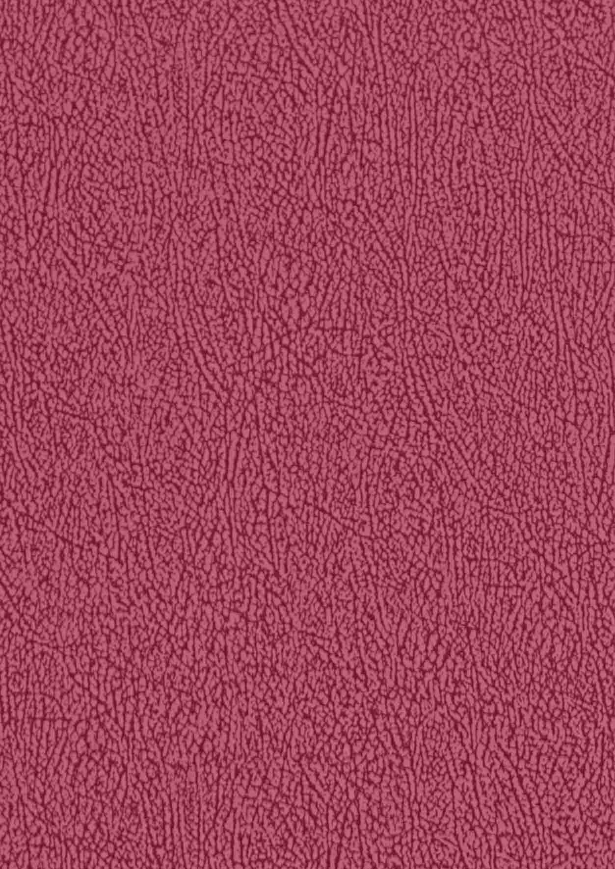 Color 2