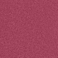 Color 2