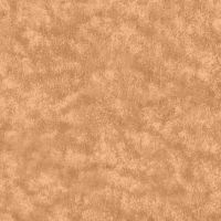 Color 1